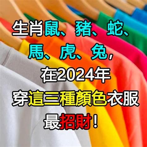 屬馬五行顏色|【屬馬五行顏色】屬馬五行顏色招財、旺運！點亮人生好運道！